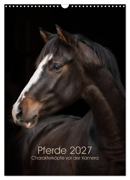 Pferde 2027 - Charakterköpfe vor der Kamera (Wandkalender 2027 DIN A3 hoch) CALVENDO Monatskalender