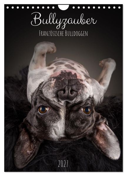 Bullyzauber - Französische Bulldoggen (Wandkalender 2027 DIN A4 hoch) CALVENDO Monatskalender