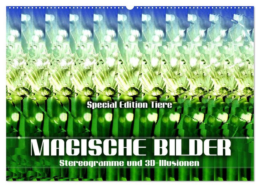 Magische Bilder - Stereogramme und 3D-Illusionen (Wandkalender 2027 DIN A2 quer) CALVENDO Monatskalender