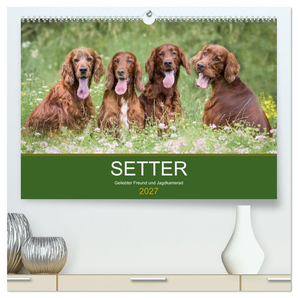 Setter - Geliebter Freund und Jagdkamerad (hochwertiger Premium Wandkalender 2027 DIN A2 quer) Kunstdruck in Hochglanz