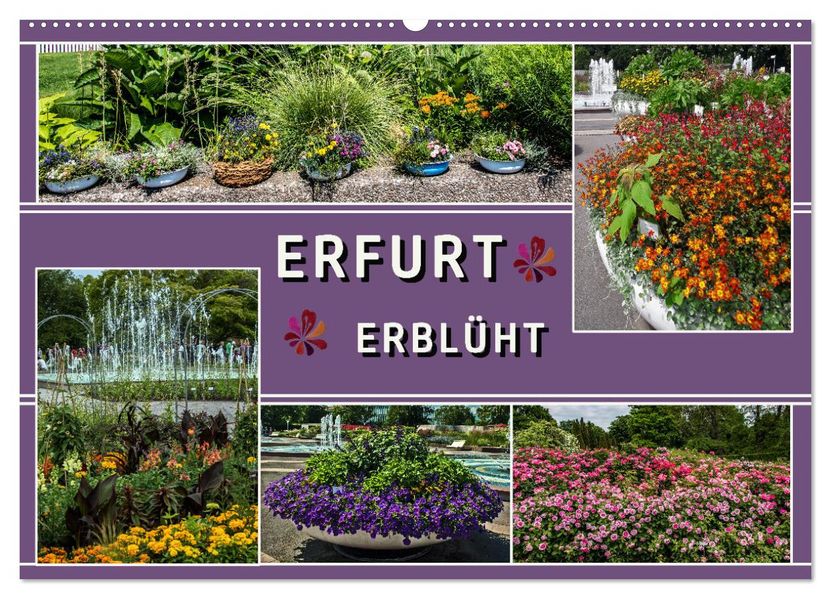Erfurt erblüht (Wandkalender 2027 DIN A2 quer) CALVENDO Monatskalender
