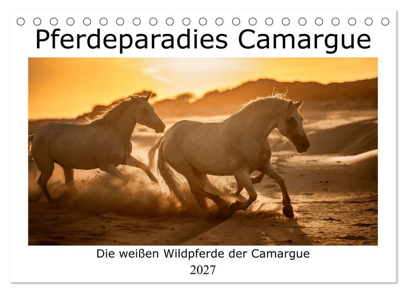Pferdeparadies Camargue (Tischkalender 2027 DIN A5 quer) CALVENDO Monatskalender