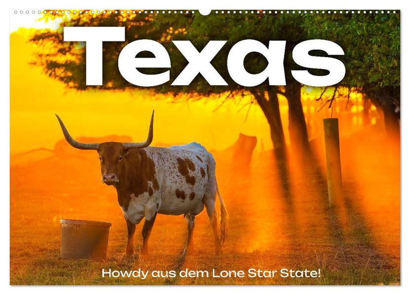Texas - Howdy aus dem Lone Star State! (Wandkalender 2027 DIN A2 quer) CALVENDO Monatskalender
