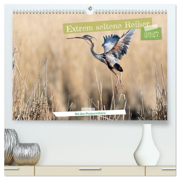 Extrem seltene Reiher (hochwertiger Premium Wandkalender 2027 DIN A2 quer) Kunstdruck in Hochglanz
