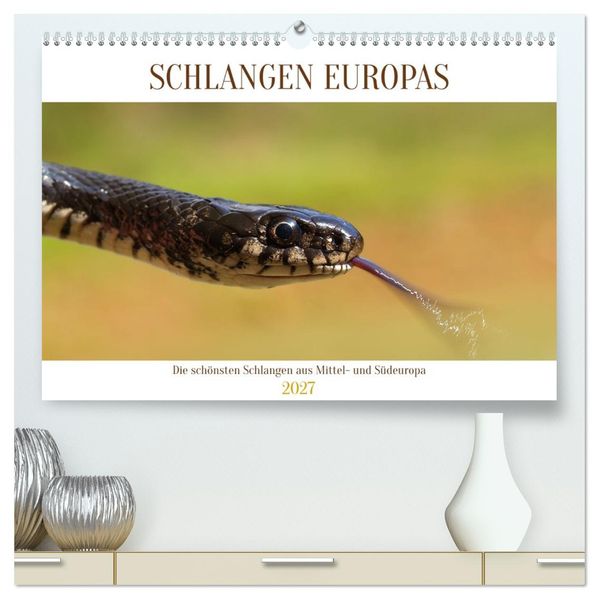 Schlangen Europas (hochwertiger Premium Wandkalender 2027 DIN A2 quer) Kunstdruck in Hochglanz