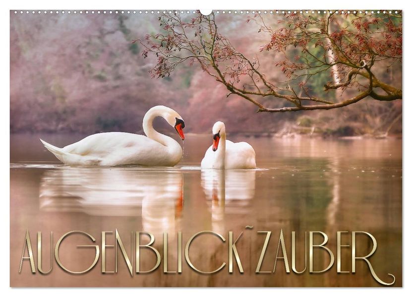 AUGENBLICK ZAUBER (Wandkalender 2027 DIN A2 quer) CALVENDO Monatskalender