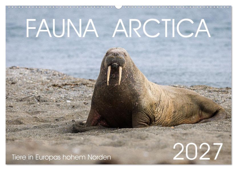 Fauna arctica (Wandkalender 2027 DIN A2 quer) CALVENDO Monatskalender