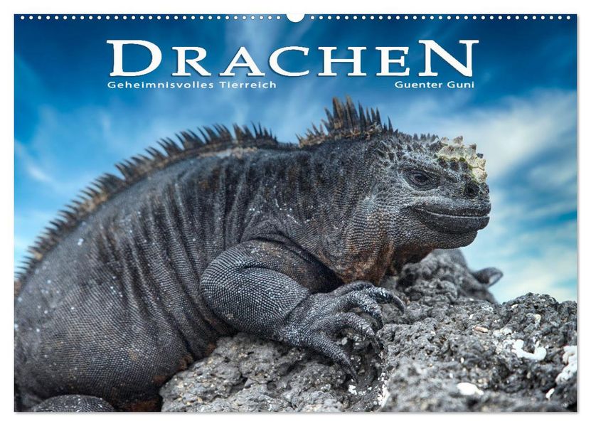 Drachen: Geheimnisvolles Tierreich (Wandkalender 2027 DIN A2 quer) CALVENDO Monatskalender