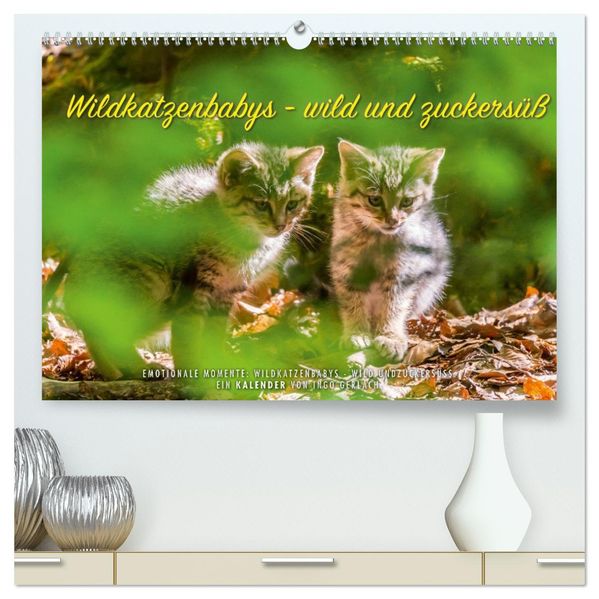 Wildkatzenbabys - wild und zuckersüß. (hochwertiger Premium Wandkalender 2027 DIN A2 quer) Kunstdruck in Hochglanz
