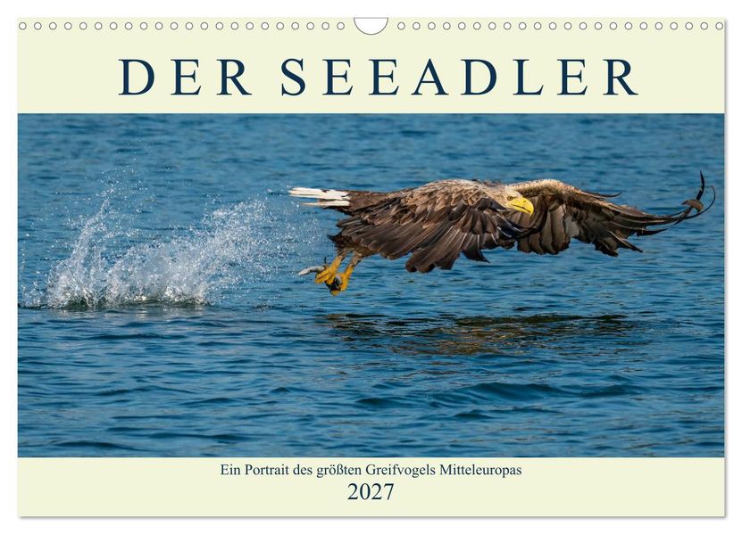 DER SEEADLER Ein Portrait des größten Greifvogels Mitteleuropas (Wandkalender 2027 DIN A3 quer) CALVENDO Monatskalender