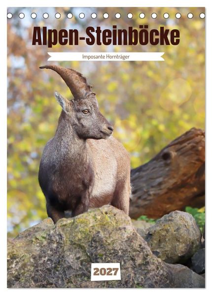 Alpen-Steinböcke imposante Hornträger (Tischkalender 2027 DIN A5 hoch) CALVENDO Monatskalender