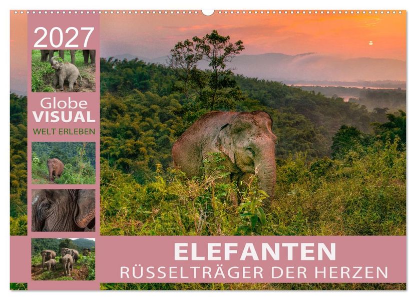 ELEFANTEN - Rüsselträger der Herzen (Wandkalender 2027 DIN A2 quer) CALVENDO Monatskalender