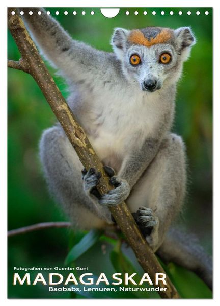 MADAGASKAR: Baobabs Lemuren Naturwunder (Wandkalender 2027 DIN A4 hoch) CALVENDO Monatskalender