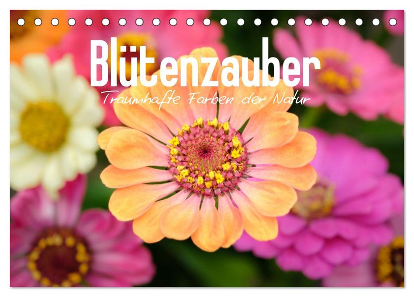 Blütenzauber - Traumhafte Farben der Natur (Tischkalender 2027 DIN A5 quer) CALVENDO Monatskalender