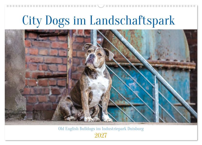 City Dogs im Landschaftspark (Wandkalender 2027 DIN A2 quer) CALVENDO Monatskalender