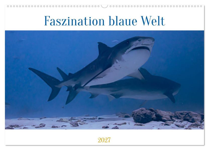 Faszination blaue Welt (Wandkalender 2027 DIN A2 quer) CALVENDO Monatskalender
