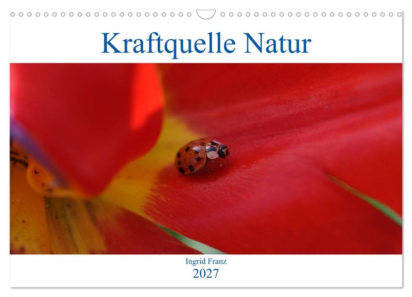 Kraftquelle Natur (Wandkalender 2027 DIN A3 quer) CALVENDO Monatskalender