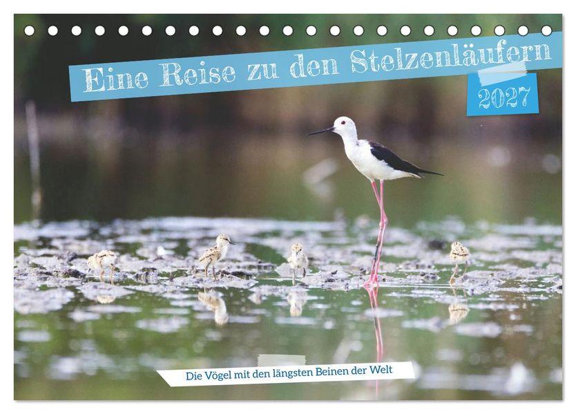 Eine Reise zu den Stelzenläufern (Tischkalender 2027 DIN A5 quer) CALVENDO Monatskalender