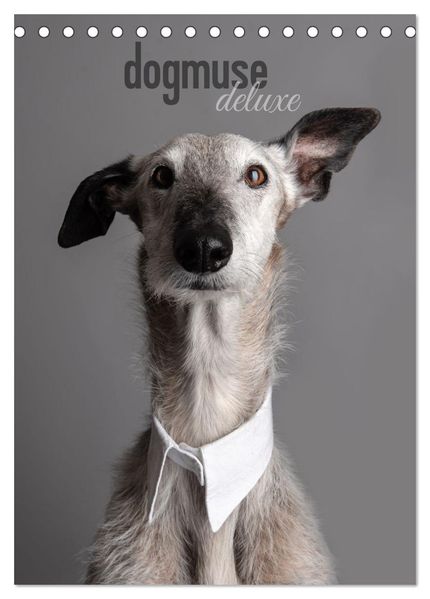 dogmuse deluxe (Tischkalender 2027 DIN A5 hoch) CALVENDO Monatskalender