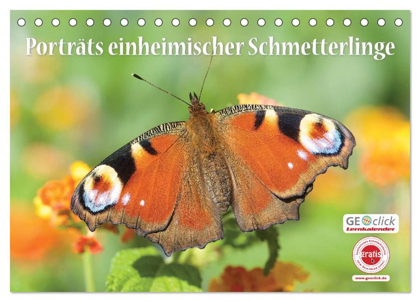 GEOclick Lernkalender: Porträts einheimischer Schmetterlinge (Tischkalender 2027 DIN A5 quer) CALVENDO Monatskalender