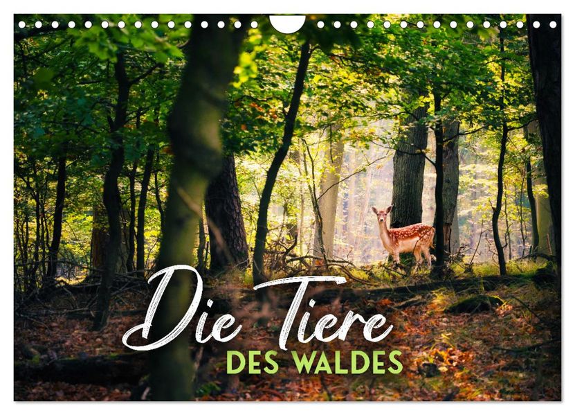 Die Tiere des Waldes (Wandkalender 2027 DIN A4 quer) CALVENDO Monatskalender