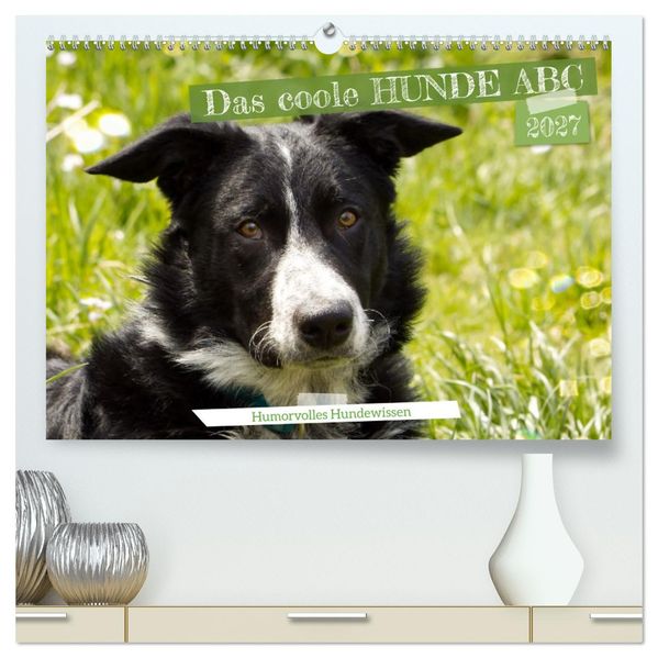 Das coole Hunde ABC (hochwertiger Premium Wandkalender 2027 DIN A2 quer) Kunstdruck in Hochglanz