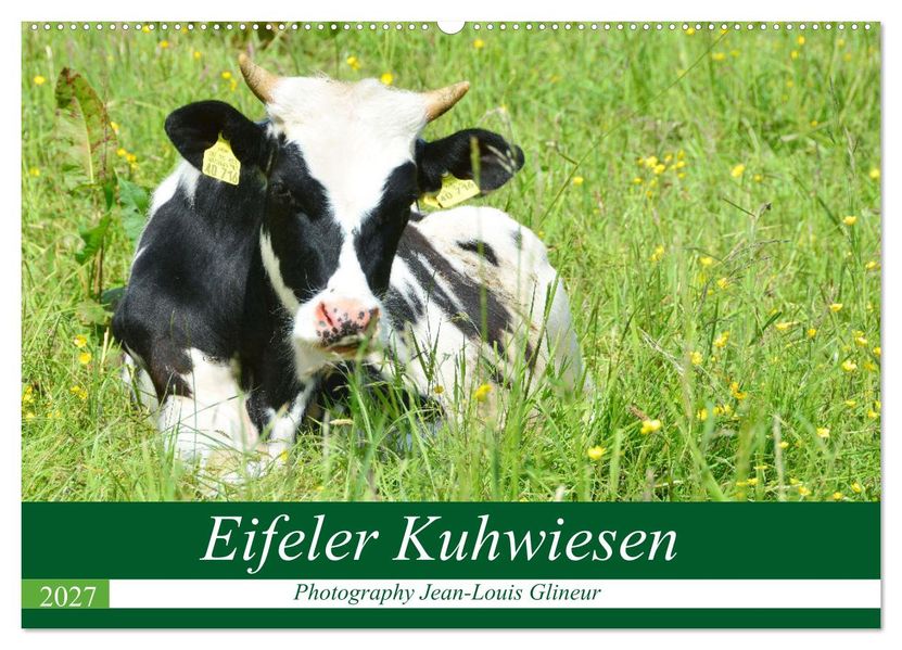 Eifeler Kuhwiesen (Wandkalender 2027 DIN A2 quer) CALVENDO Monatskalender