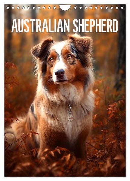 Australian Shepherd (Wandkalender 2027 DIN A4 hoch) CALVENDO Monatskalender
