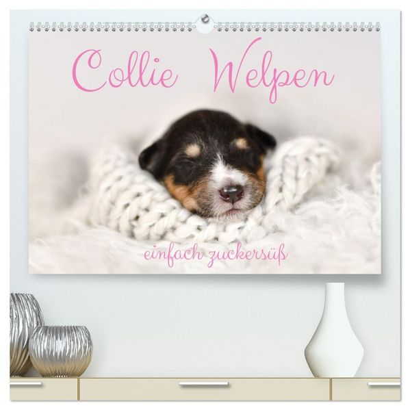 Collie Welpen einfach zuckersüß (hochwertiger Premium Wandkalender 2027 DIN A2 quer) Kunstdruck in Hochglanz