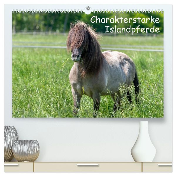 Charakterstarke Islandpferde (hochwertiger Premium Wandkalender 2027 DIN A2 quer) Kunstdruck in Hochglanz