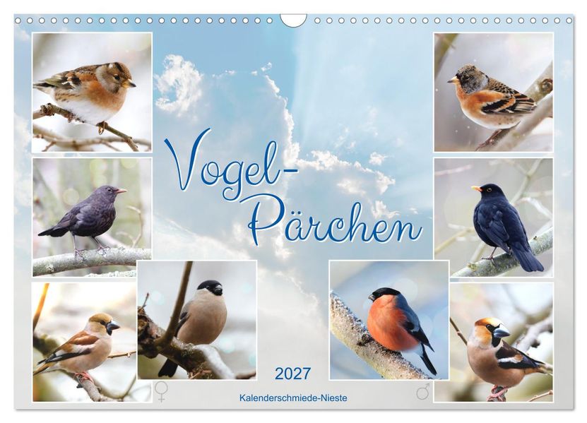 Vogel-Pärchen (Wandkalender 2027 DIN A3 quer) CALVENDO Monatskalender