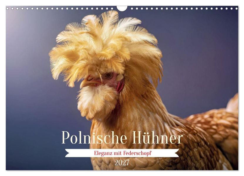 Polnische Hühner (Wandkalender 2027 DIN A3 quer) CALVENDO Monatskalender