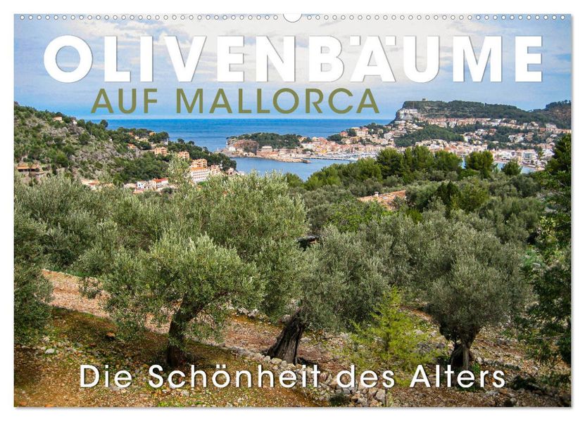 Olivenbäume auf Mallorca - Die Schönheit des Alters (Wandkalender 2027 DIN A2 quer) CALVENDO Monatskalender