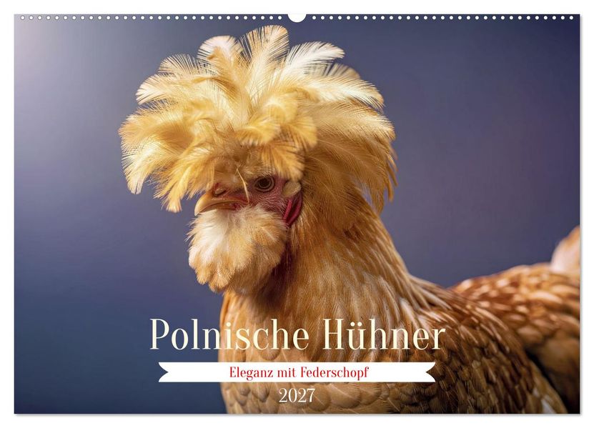 Polnische Hühner (Wandkalender 2027 DIN A2 quer) CALVENDO Monatskalender
