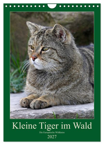 Kleine Tiger im Wald (Wandkalender 2027 DIN A4 hoch) CALVENDO Monatskalender