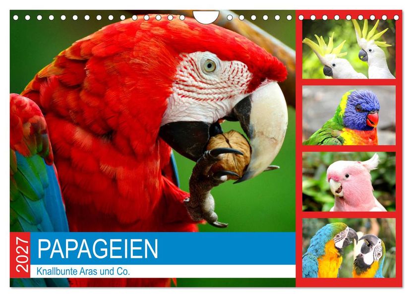 Papageien. Knallbunte Aras und Co. (Wandkalender 2027 DIN A4 quer) CALVENDO Monatskalender
