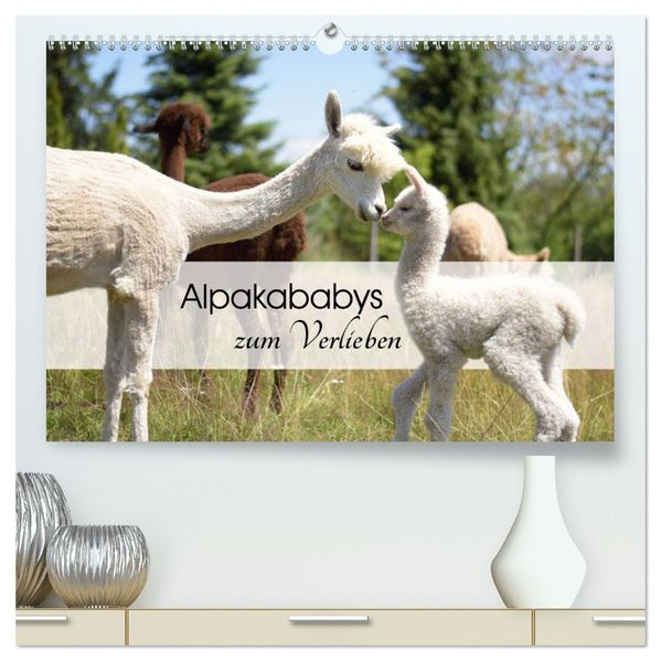 Alpakababys zum Verlieben (hochwertiger Premium Wandkalender 2027 DIN A2 quer) Kunstdruck in Hochglanz