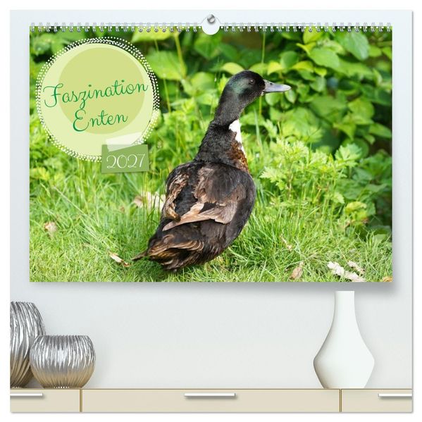 Faszination Enten (hochwertiger Premium Wandkalender 2027 DIN A2 quer) Kunstdruck in Hochglanz