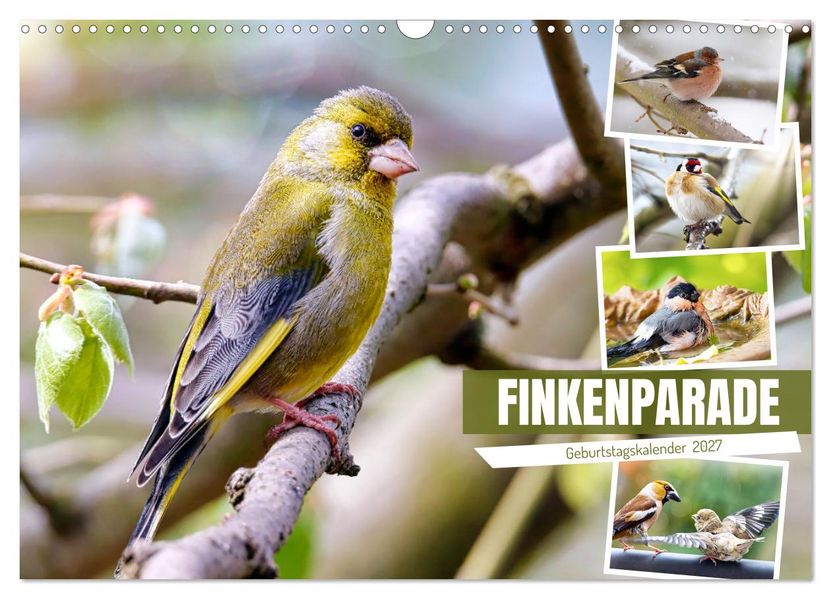 Finkenparade (Wandkalender 2027 DIN A3 quer) CALVENDO Monatskalender