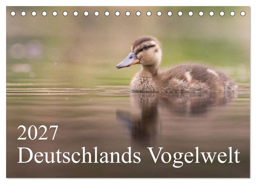 Deutschlands Vogelwelt (Tischkalender 2027 DIN A5 quer) CALVENDO Monatskalender