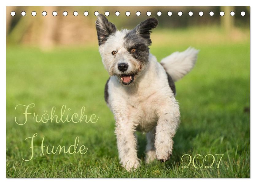 Fröhliche Hunde (Tischkalender 2027 DIN A5 quer) CALVENDO Monatskalender