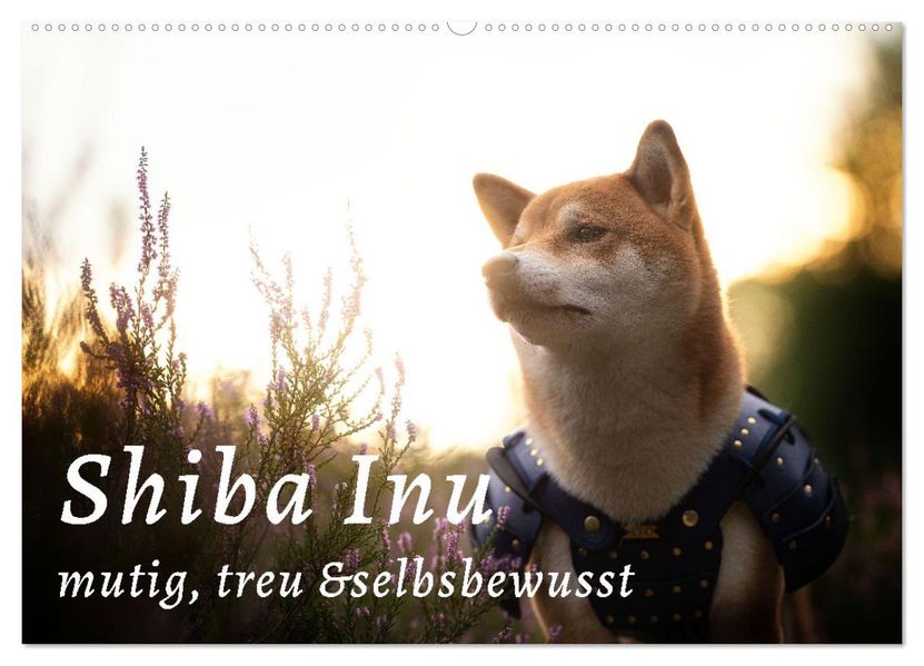 Shiba Inu - mutig treu selbstbewusst (Wandkalender 2027 DIN A2 quer) CALVENDO Monatskalender
