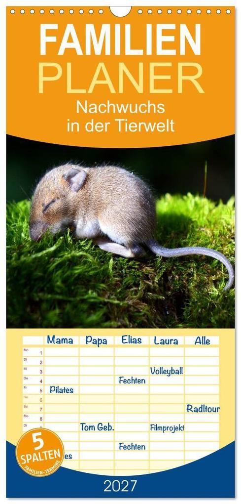 Familienplaner 2027 - Nachwuchs in der Tierwelt mit 5 Spalten (Wandkalender 21 x 45 cm) CALVENDO