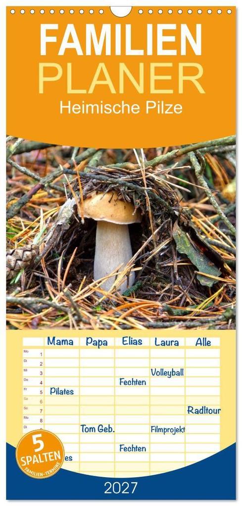 Familienplaner 2027 - Heimische Pilze mit 5 Spalten (Wandkalender 21 x 45 cm) CALVENDO