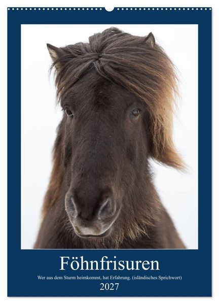 Föhnfrisuren (Wandkalender 2027 DIN A2 hoch) CALVENDO Monatskalender