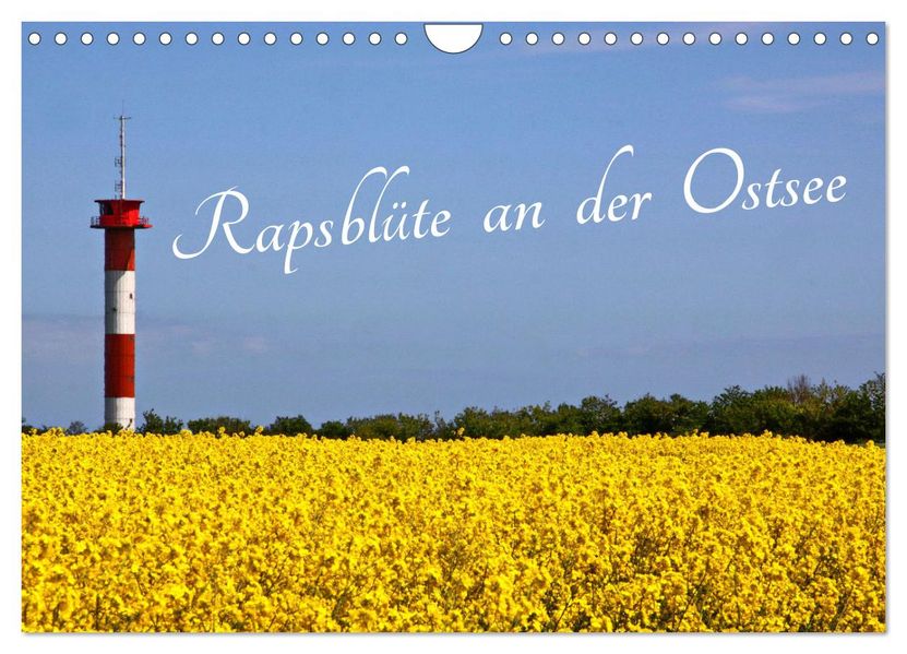Rapsblüte an der Ostsee (Wandkalender 2027 DIN A4 quer) CALVENDO Monatskalender