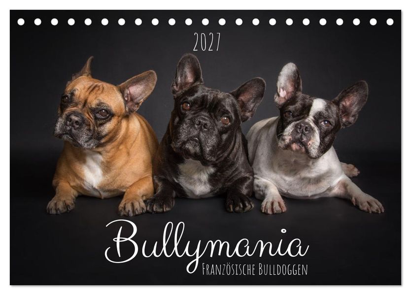 Bullymania - Französische Bulldoggen (Tischkalender 2027 DIN A5 quer) CALVENDO Monatskalender
