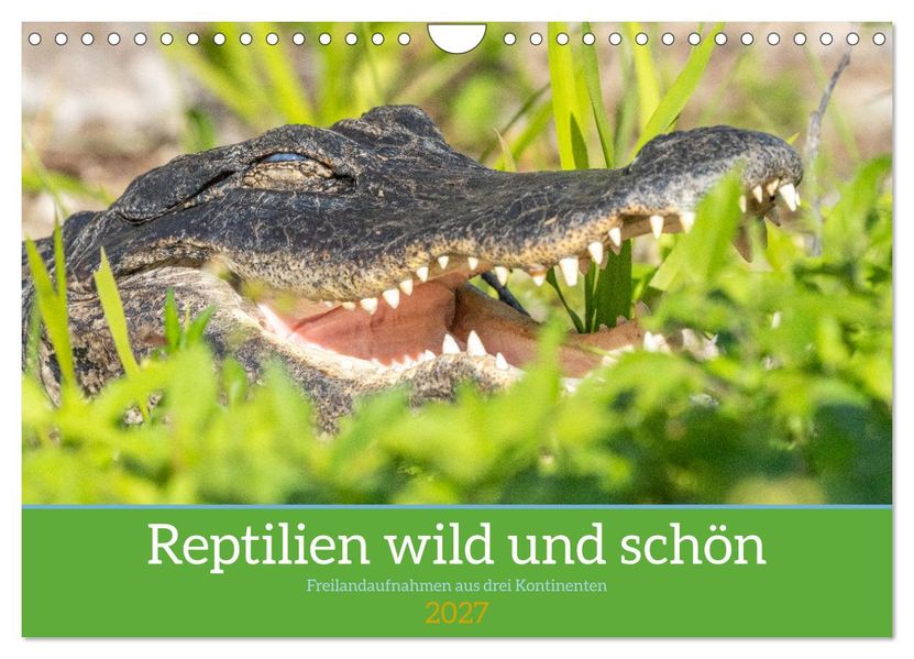 Reptilien wild und schön (Wandkalender 2027 DIN A4 quer) CALVENDO Monatskalender