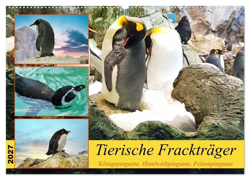 Tierische Frackträger (Wandkalender 2027 DIN A2 quer) CALVENDO Monatskalender