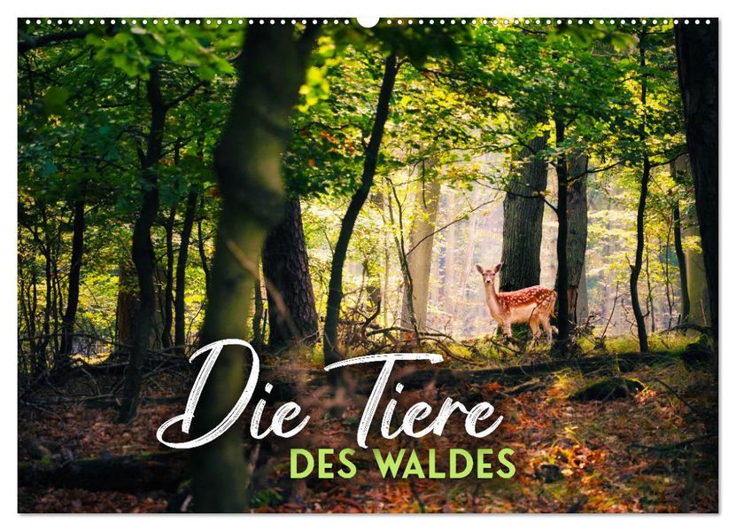 Die Tiere des Waldes (Wandkalender 2027 DIN A2 quer) CALVENDO Monatskalender